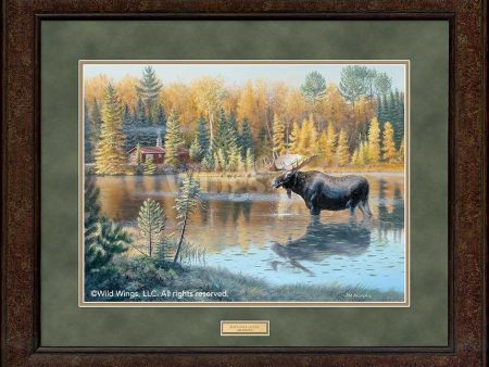 The Loner—Moose - GNA Premium Print For Sale