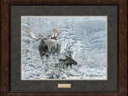 Patient Suitor—Moose - GNA Premium Print Online Hot Sale