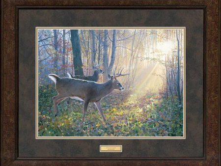 A Pair of Eights—Whitetails - GNA Premium Print For Sale