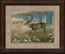 Battle Field-Whitetail Deer - GNA Premium Print Online now