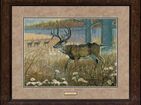 Battle Field-Whitetail Deer - GNA Premium Print Online now