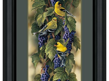 Vineyard—Goldfinches - Limited Edition Paper Fashion