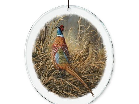 Late Season Solitude - Pheasants - Suncatcher Hot on Sale