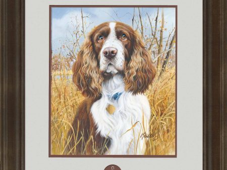 That s My Dog, Too!—Springer Spaniel - Personalized Framed Print Sale