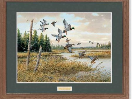 Hidden Pond—Mallards on Sale