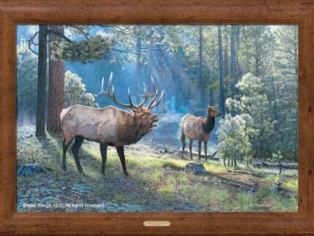 Spirited Exchange—Elk For Discount