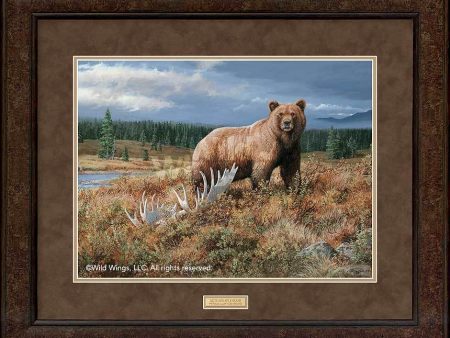 Autumn Splendor—Grizzly - GNA Premium Print Online Hot Sale