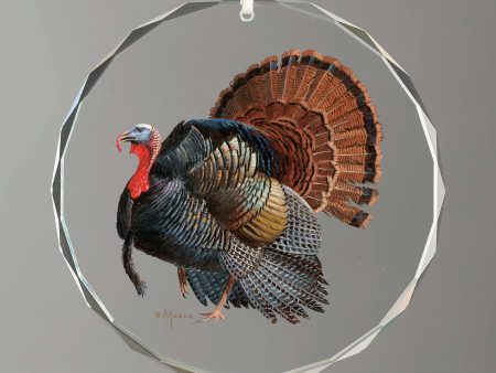 Early Spring Turkeys Online