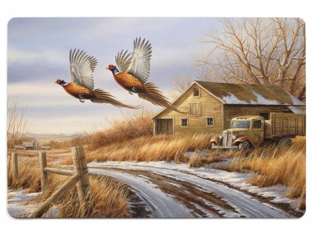 Weathered Memories - Pheasants - 2  x 3  Floor Mat Hot on Sale