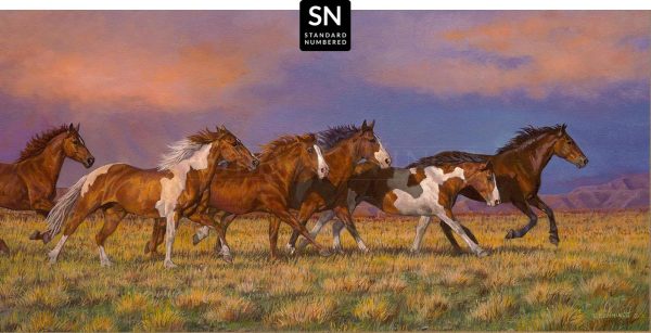 Unbroken—Horses; Standard Numbered Edition (SN) on Sale