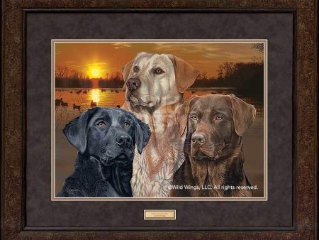 Sunset Trio—Dogs - GNA Premium Print Online now