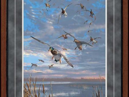 Closing Minutes - Mallards - Limited Edition Paper Online now