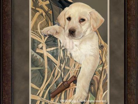 The Apprentice—Yellow Lab - GNA Premium Print For Discount