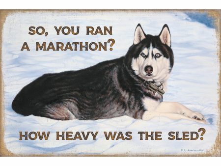 Husky in the Snow—So You Ran a Marathon Sale