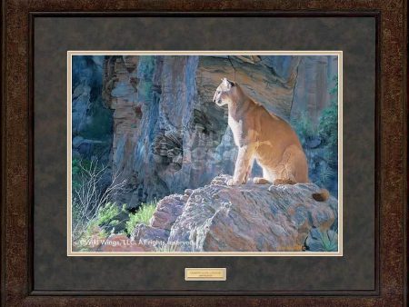 Canyon Glow—Cougar - GNA Premium Print For Sale