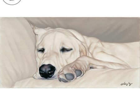 Yellow Lab on Couch For Sale