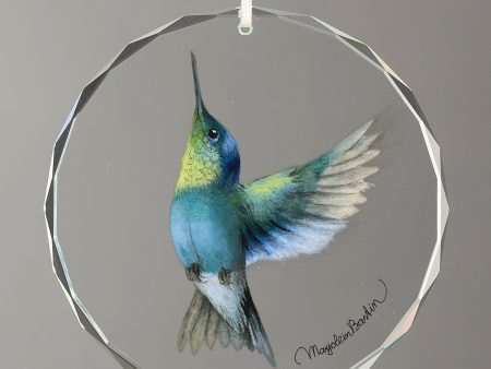 Crowned Woodnymph Hummingbird For Cheap