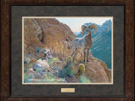 The Overseer—Desert Bighorn Sheep - GNA Premium Print For Cheap