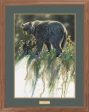 Abundance—Black Bears - GNA Premium Print Supply