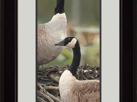 Family Time—Canada Geese - Limited Edition Paper Online Sale